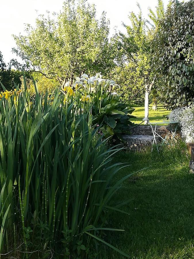 Bed and Breakfast La Cle Du Puy Cabariot Exterior foto